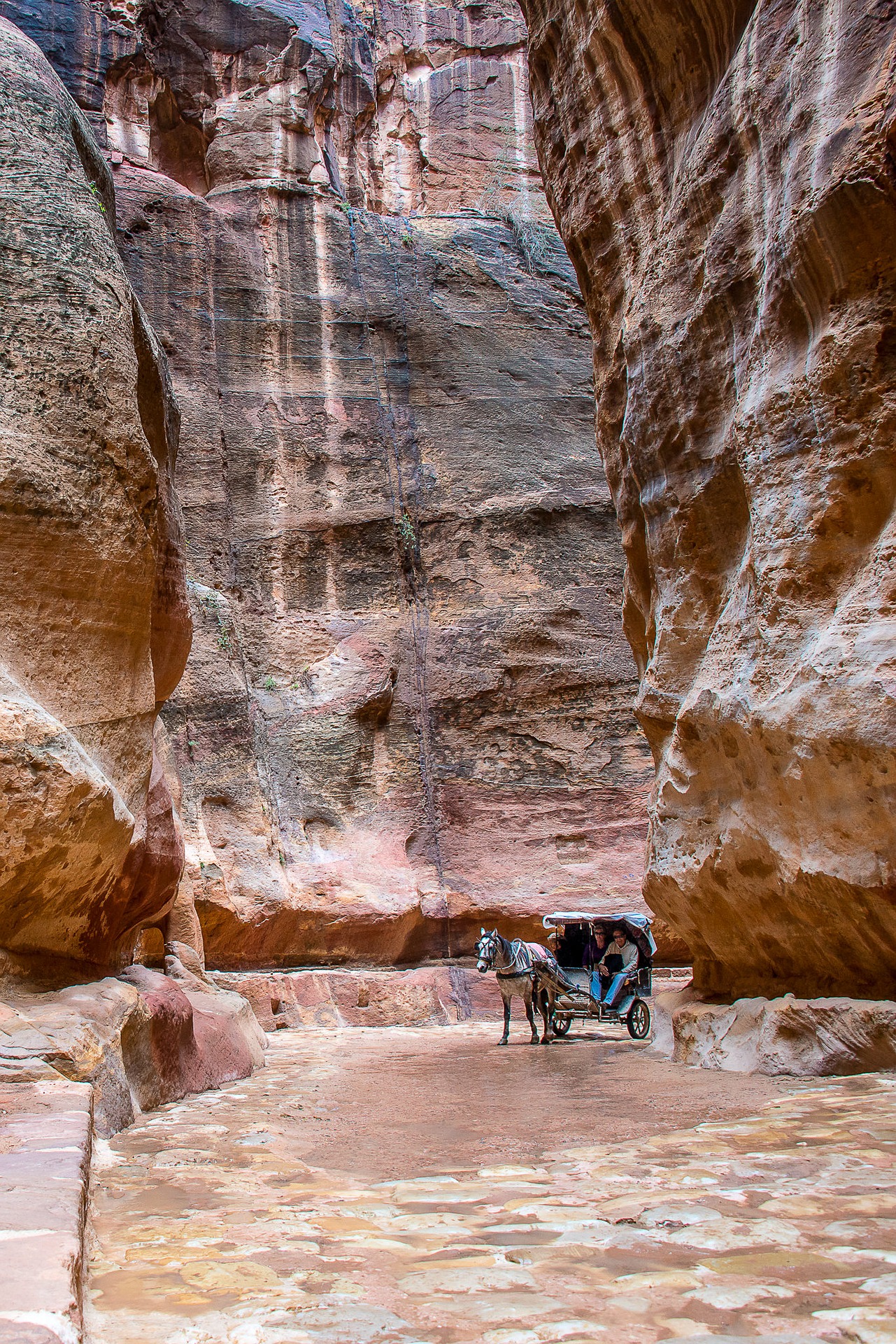 Petra