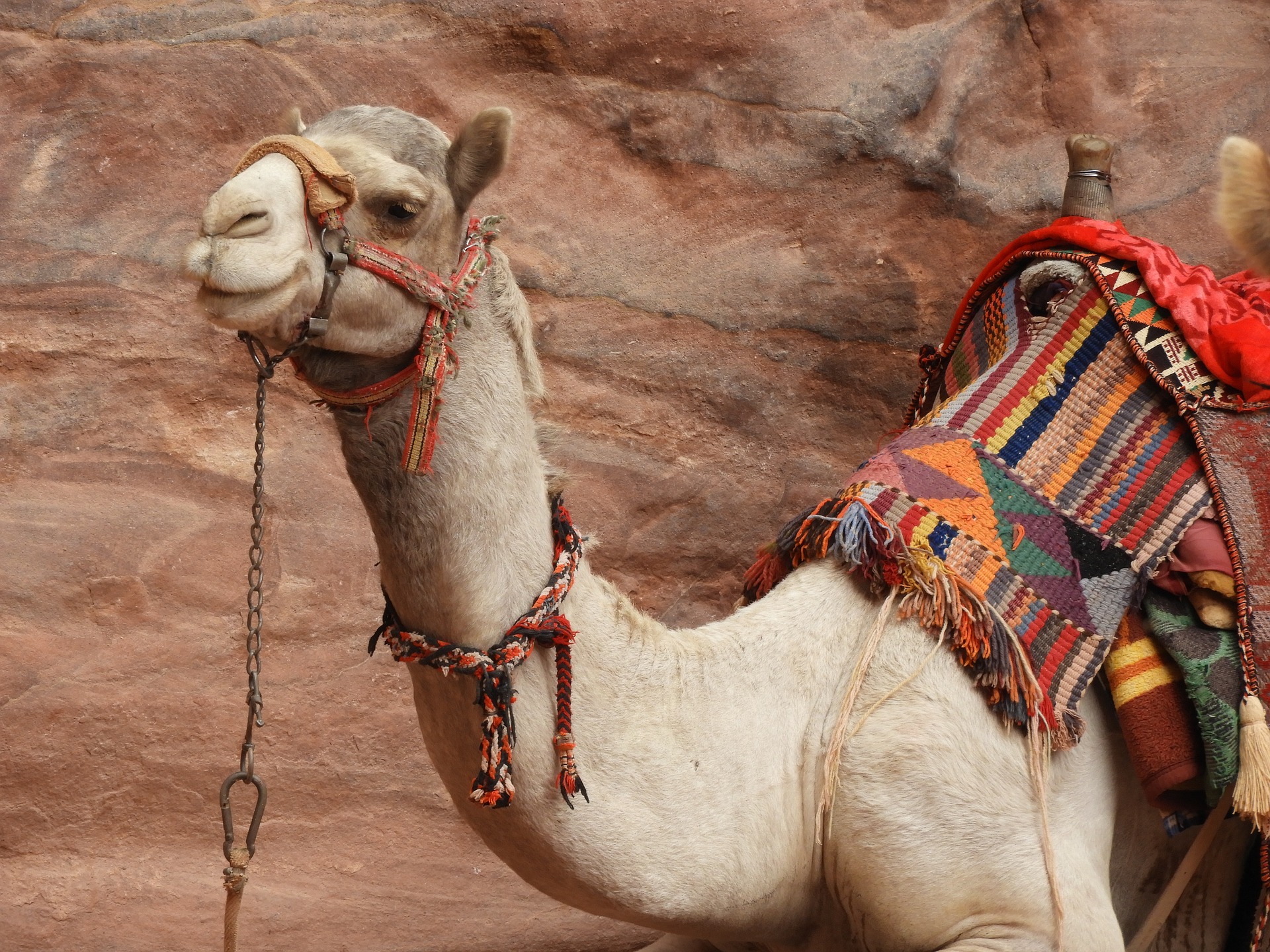 Petra